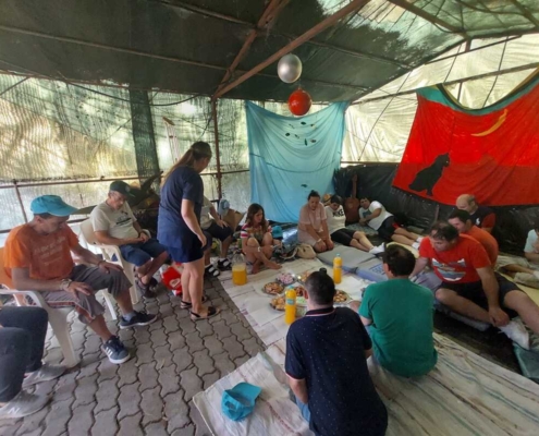 tarde na quinta