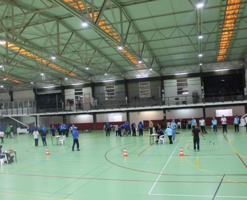 Torneio Interinstitucional de Boccia em Santa Comba Dão