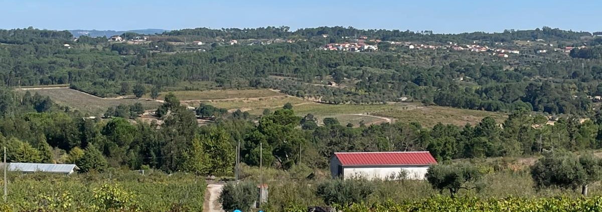 Visita do caci à quinta das rosas com a amora brava