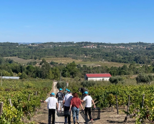 Visita do caci à quinta das rosas com a amora brava