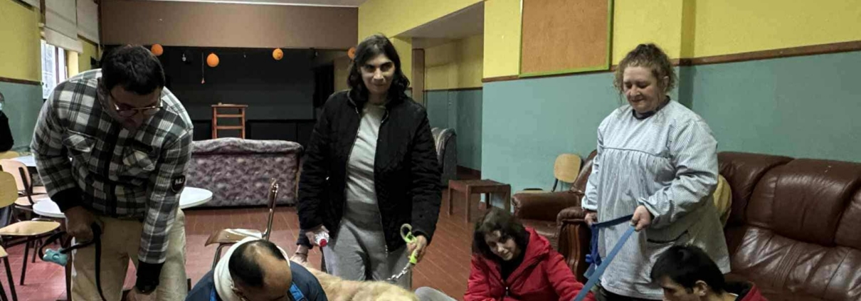 Pet Day EVF