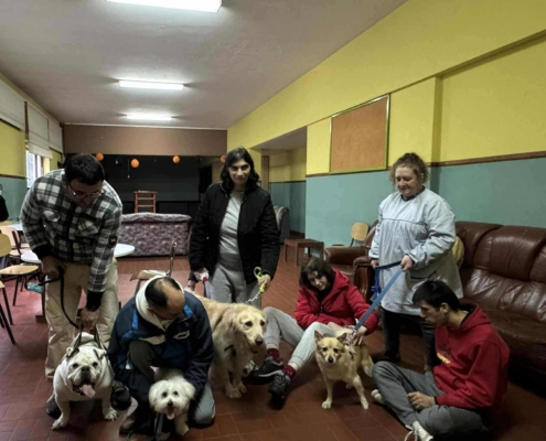 Pet Day EVF