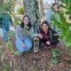 Hotéis dos bichinhos EVF