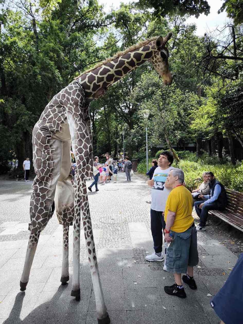 Viseu recebeu as Girafas… e nós também fomos ver!