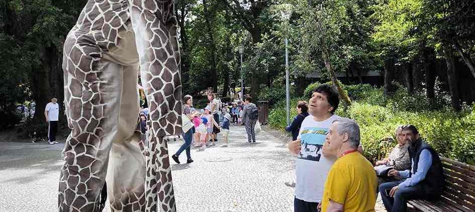 Viseu recebeu as Girafas… e nós também fomos ver!