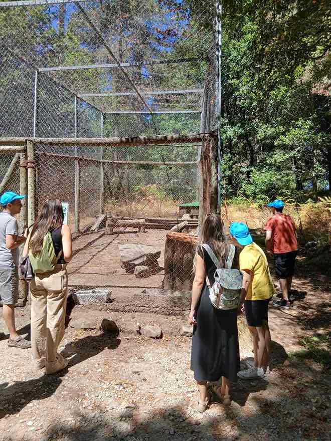 Visita ao Parque Biológico de Lamego