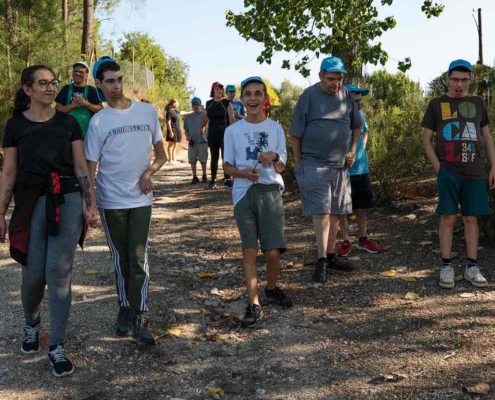 Vindimas: tradição, partilha e inclusão